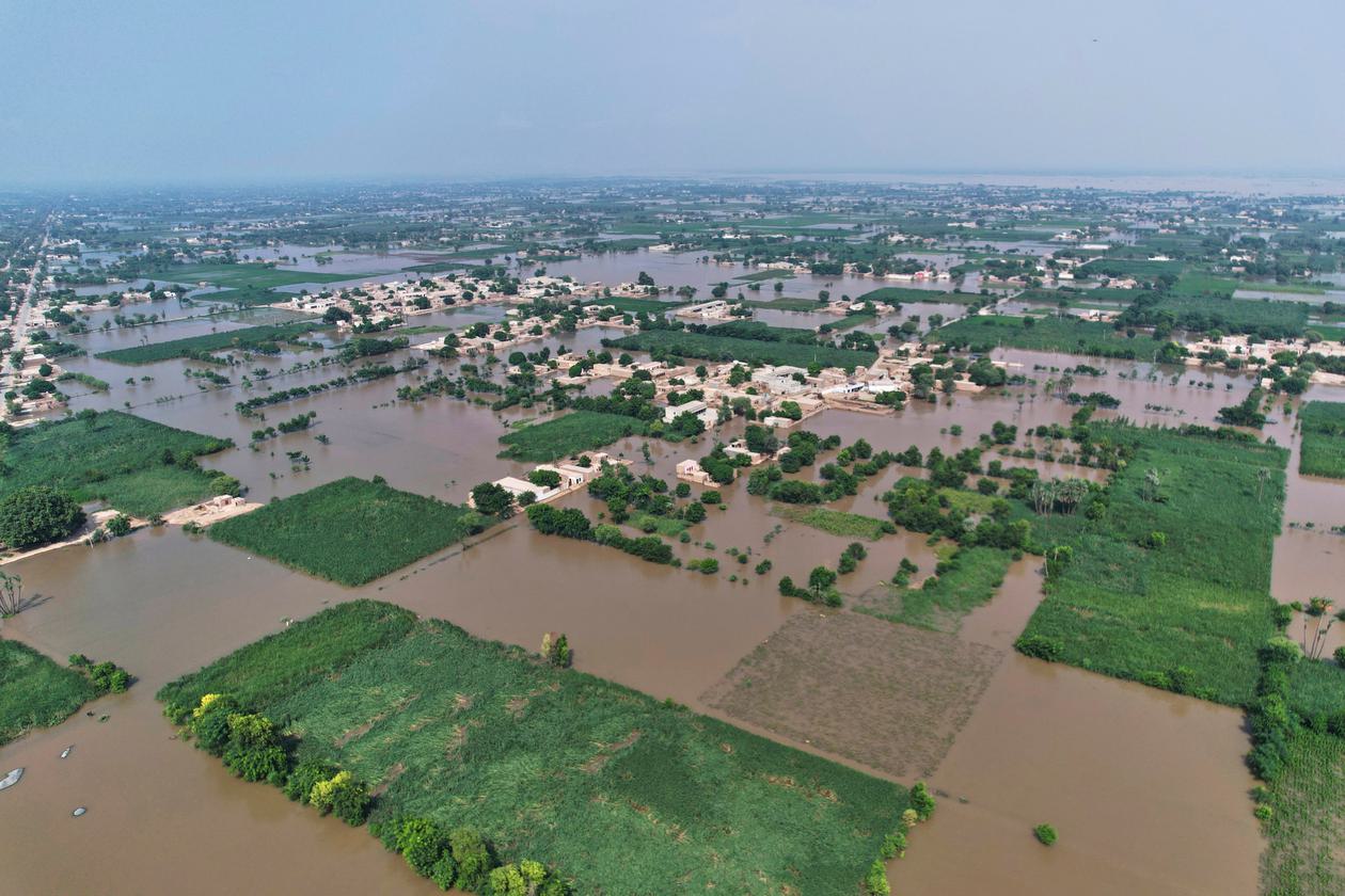 UN Warns 40.5 Million May Be Forced to Move as Climate Change Hits South Asia 7 Flooded farmland in Pakistan with submerged crops