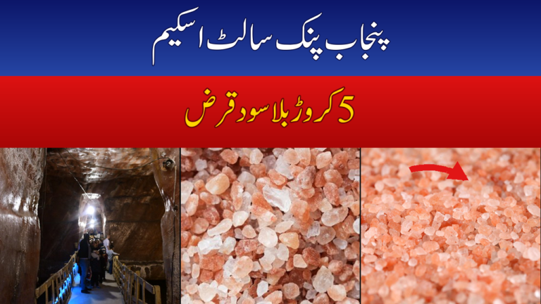 Punjab Pink Salt Loan Scheme 2026: Interest-Free Loans Up to Rs50M — How to Apply