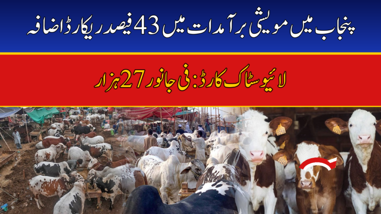 Punjab livestock exports rise 43 percent - Livestock Card scheme Rs27,000 per animal