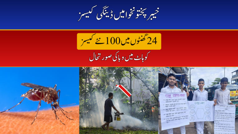 KP Records 100 Dengue Cases in a Day — Kohat Worst Hit