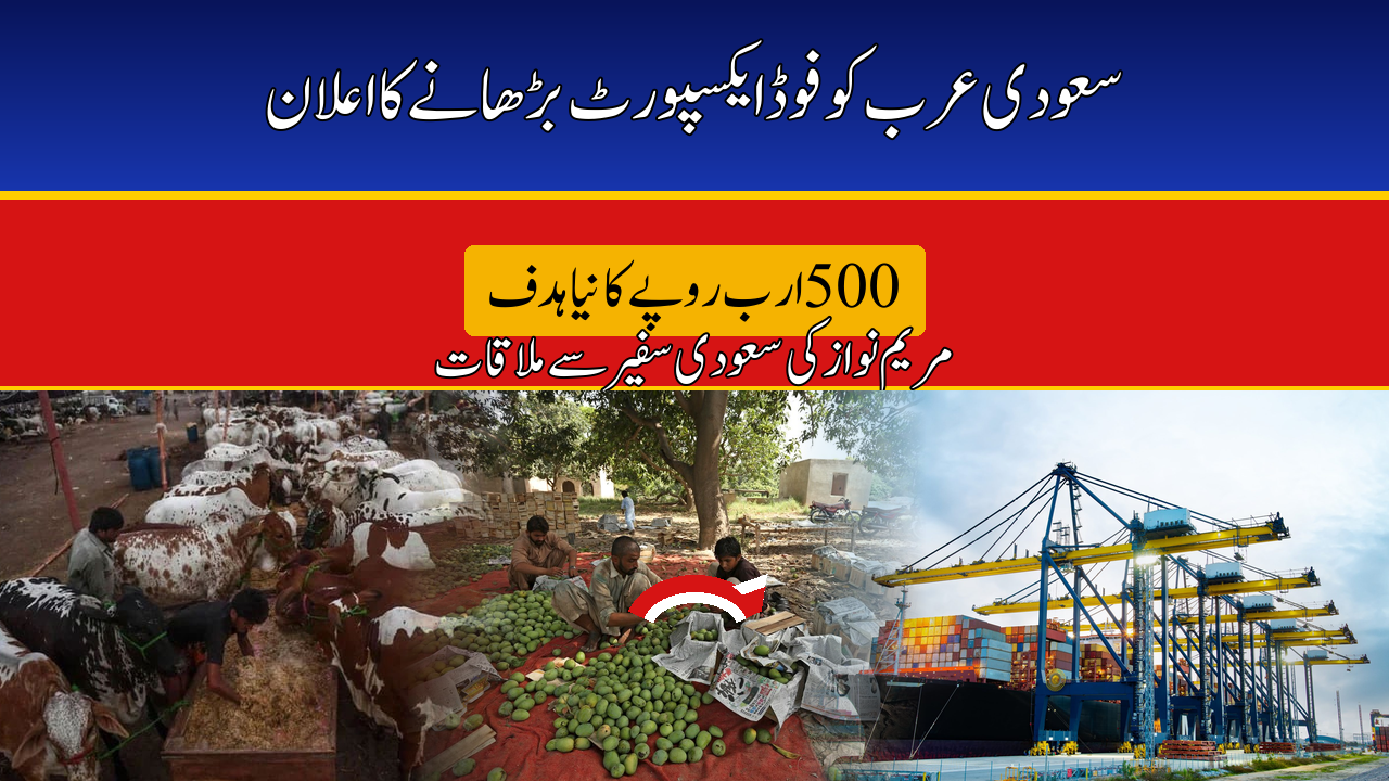 Punjab Sets Rs500bn Saudi Food Export Target