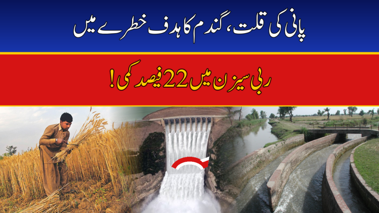 IRSA Projects 22% Water Shortage for Rabi Season — 33 Million Tonne Wheat Target at Stake