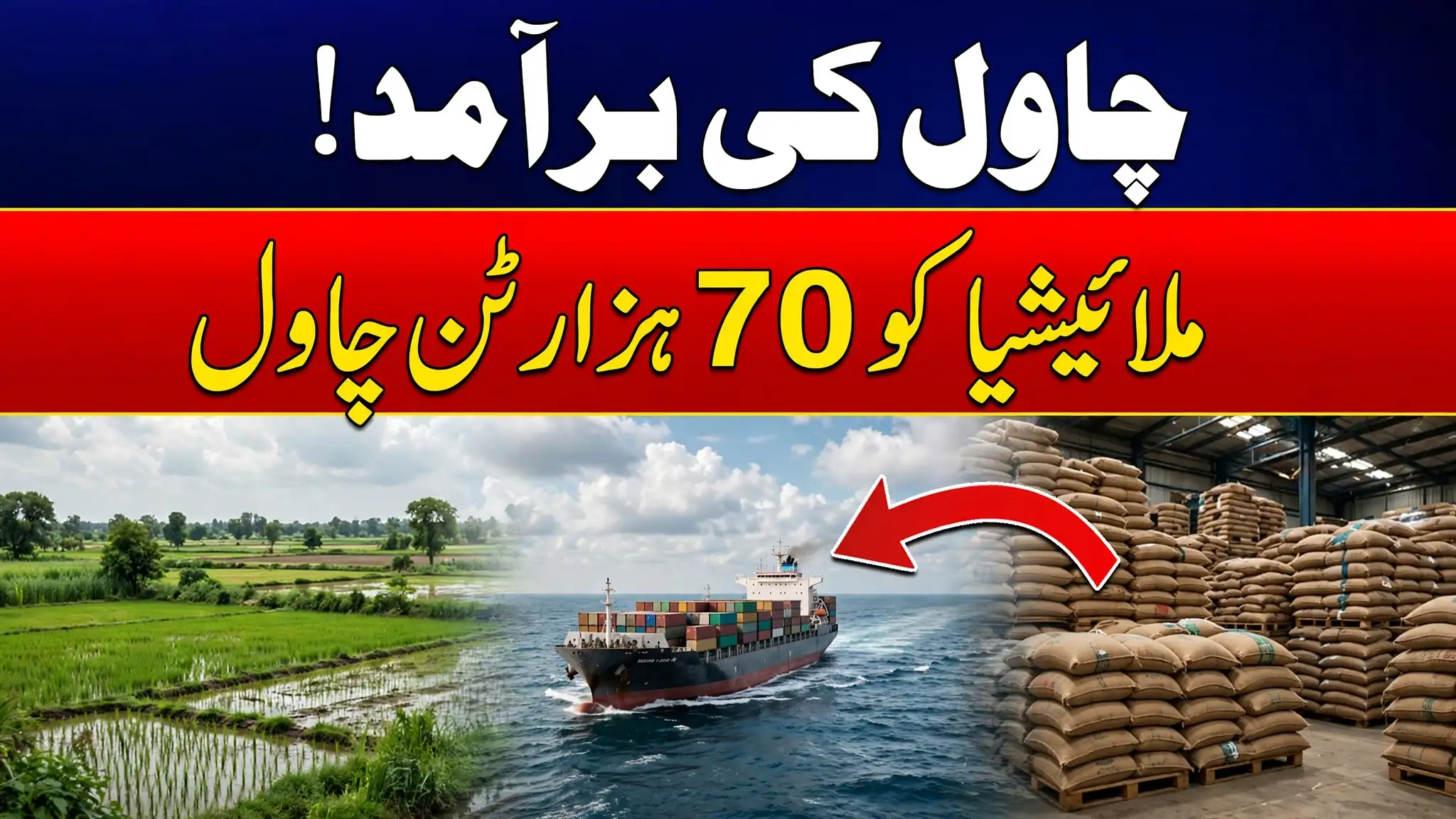 Pakistan to Export 70,000 More Tonnes of Rice to Malaysia